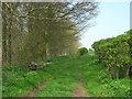 TA0960 : Bridleway Beside Lingholmes Plantation by JThomas