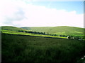 Weasdale Farm, Hooksey hill behind