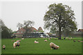 The Oast House, Hawe Lane, Sturry, Kent