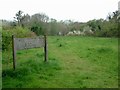 The Commons Nature Reserve W.G.C.