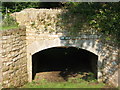 Cow Arch at the Hirsel