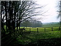 Fields adjacent to Stainton Cotes