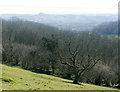 2009 : Mendip hill, on the Old Bristol Road