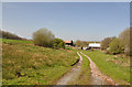 Farm track - Gwempla, east of Llandyfaelog