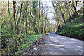 Lane south of Cwmisfael - south west of Llandarrog