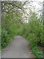 Footpath - Baptist Lane