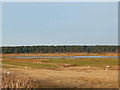 TF8744 : Holkham marsh from the A149 by Andy F