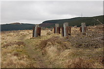 NT2842 : Wooden posts on Caresman Hill by Jim Barton