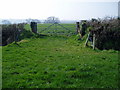 Gate to arable land south of Tytherleigh