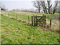 Footpath with kissing gate (2)