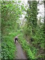 The High Level Footpath, Weston Turville Reservoir