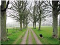 Avenue by Sports Field, RAF Halton