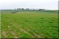 SY5699 : Field near Lower Kingcombe by Nigel Mykura
