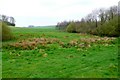 Countryside near Tollerford