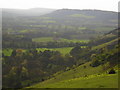 View from Colley Hill, Reigate