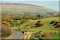 The Lagge Road near Armoy