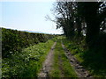 Track between the B5429 and Pentry Smithy