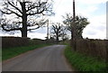 Lane to Chiddingstone