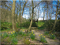 SD9829 : Wishing Well in spring - Hardcastle Crags by David Martin