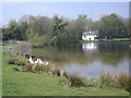 A small corner of Cole Mere