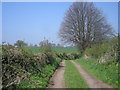 Farm track near Welshampton