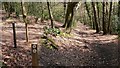 Paths on small National Trust property at Beacon Hill