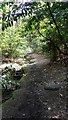 Footpath at Beacon Hill