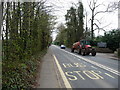 Bolham : Bolham Road & Bus Stop