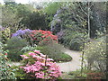 SW9147 : Trewithen Gardens - seen from a viewing platform by Rod Allday