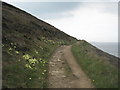 The South West Coast Path, approaching the headland above Shag Rock