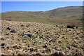 Stone Circle on Kirk Hill