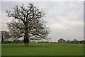 Farmland Near Bentley Heath