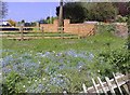 Wildflowers in small enclosure