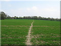 Footpath to Bailey Farm