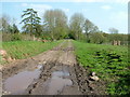 Site of long removed railway line Neen Savage