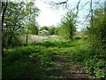 Site of long removed railway line, Neen Savage, looking North-West towards Ditton Priors.