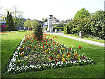 TQ3296 : Flowerbed near the War Memorial, Chase Green, Enfield by Christine Matthews