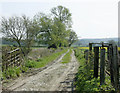 2009 : Farm track off New Road