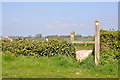 A stile west of Cowbridge