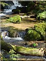 Stream near Constantine