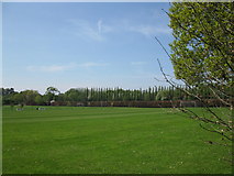 SU7963 : Playing Fields, Finchampstead by don cload