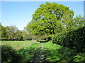 Footpath to Wick Hill from Finchampstead Church