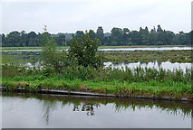 SJ9822 : River Sow flood plain near Shugborough, Staffordshire by Roger  D Kidd