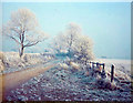 1991 Winter In Wilberfoss