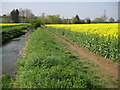 Radlett Brook