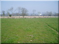 Footpath to Chard Junction