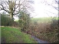 Mid Devon : Stream