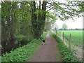 Wendover Arm: The Canal runs by a large field