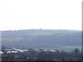 View from Byway to Whitland Abbey