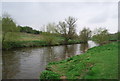 River Medway between Barming & Teston